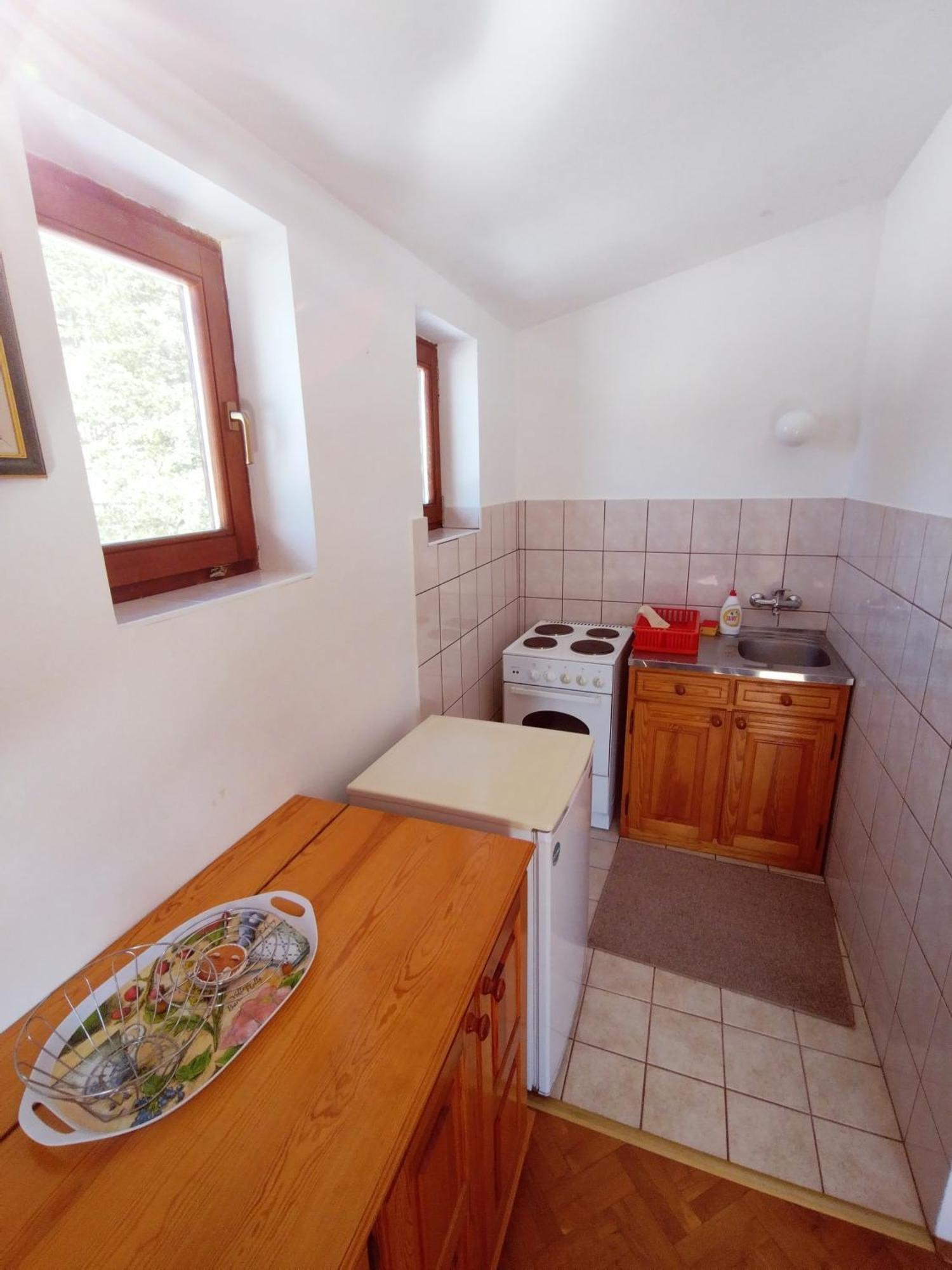 Vila Zoran Zlatibor Pokoj fotografie